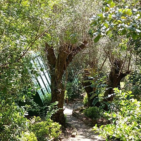 La Francesca Sud Un Villaggio"Glamping" Scario Luaran gambar