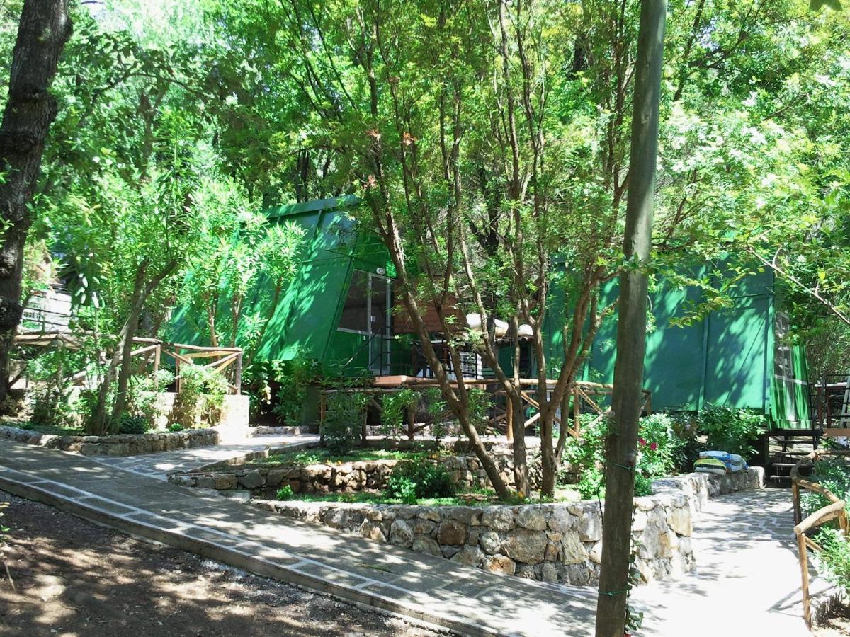 La Francesca Sud Un Villaggio"Glamping" Scario Luaran gambar